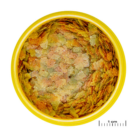 PRONOVO BETTA FLAKES S 100ML