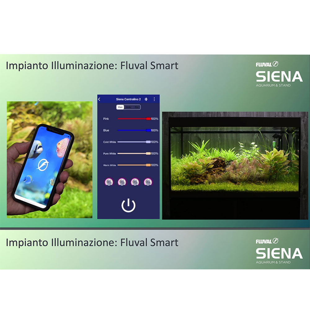 ASKOLL FLUVAL SIENA 270 COMPLETE With support