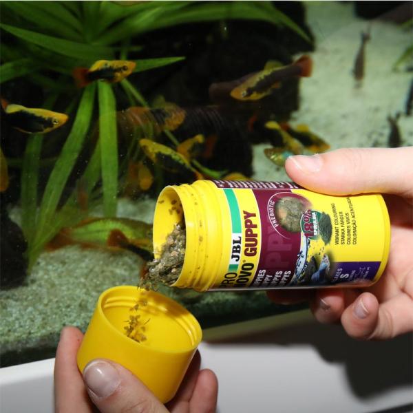 PRONOVO GUPPY FLAKES S 250ml