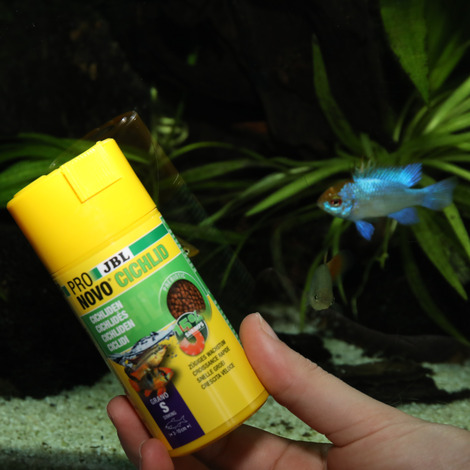 PRONOVO CICHLID GRANO S 100ML 