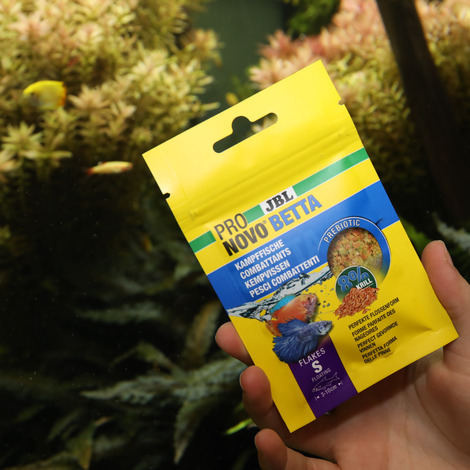 PRONOVO BETTA FLAKES S 100ML