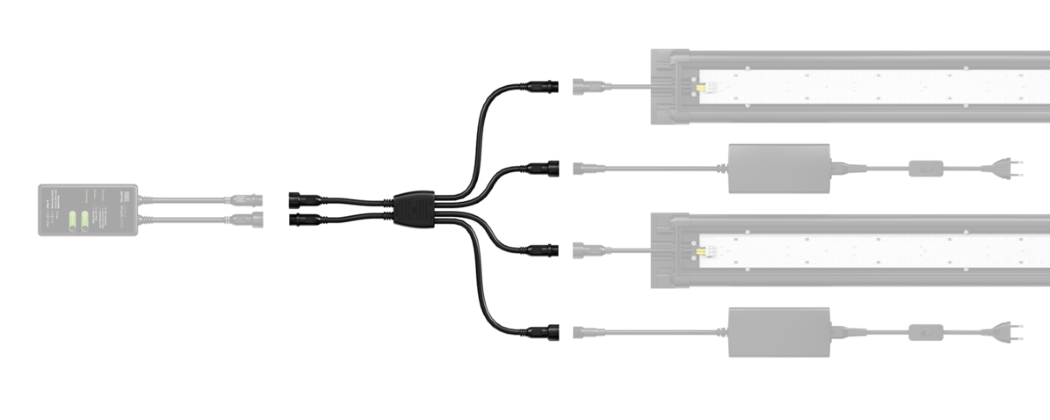 JUWEL SPLITTER SPECTRUM (4Ch)