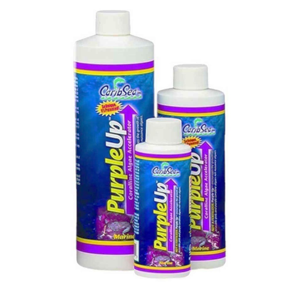 PURPLE UP 237ml