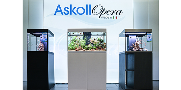 ASKOLL OPERA 80 NERO