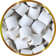 BIOFOREX 2000g SHG