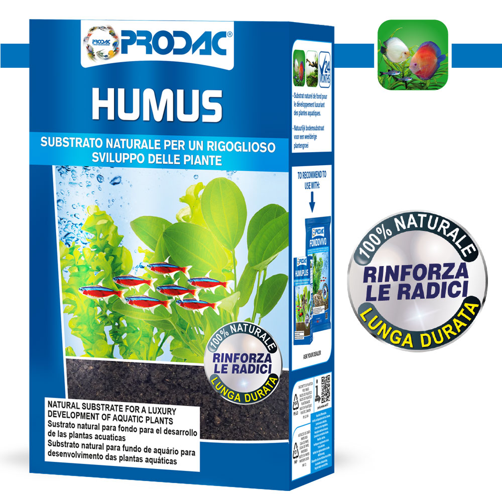 HUMUS CC. 1000