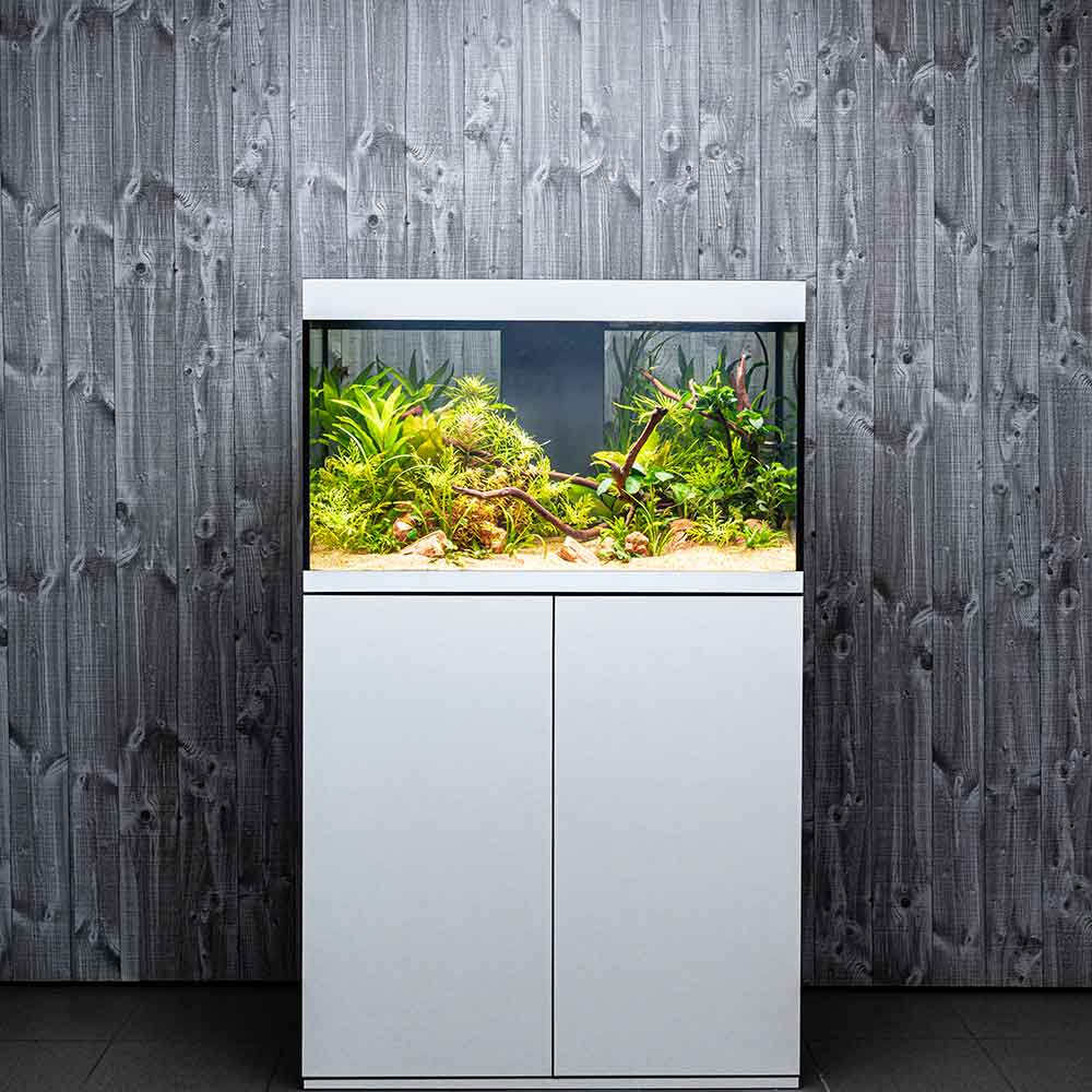 ASKOLL OPERA 110 WHITE