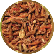 KRILL 50g SHG