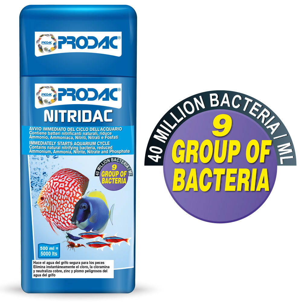 NITRIDAC 500ml