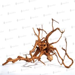 RED MOORWOOD  40-50cm