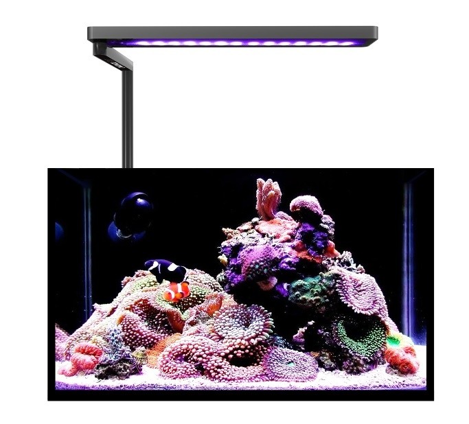 MICMOL SOLO 20w SILVER  ACQUA SALATA