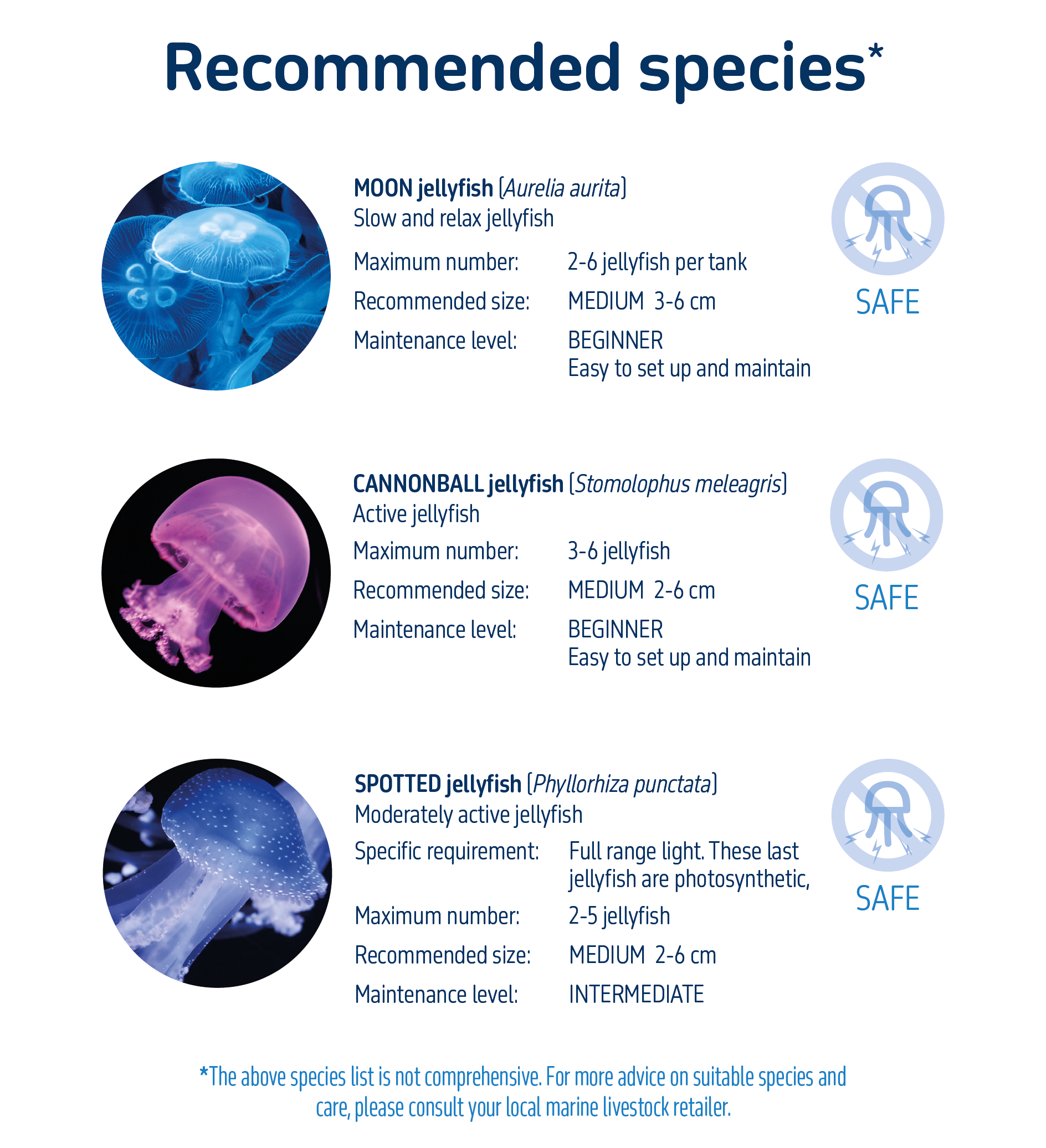KREISEL 15 Liters Jellyfish Aquarium